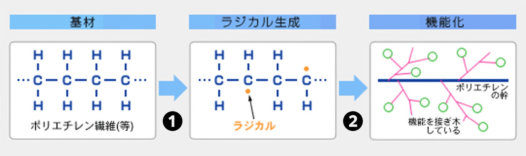 グラフト重合とその応用 (新高分子文庫) コアテクノロジー | イー・シー・イー
