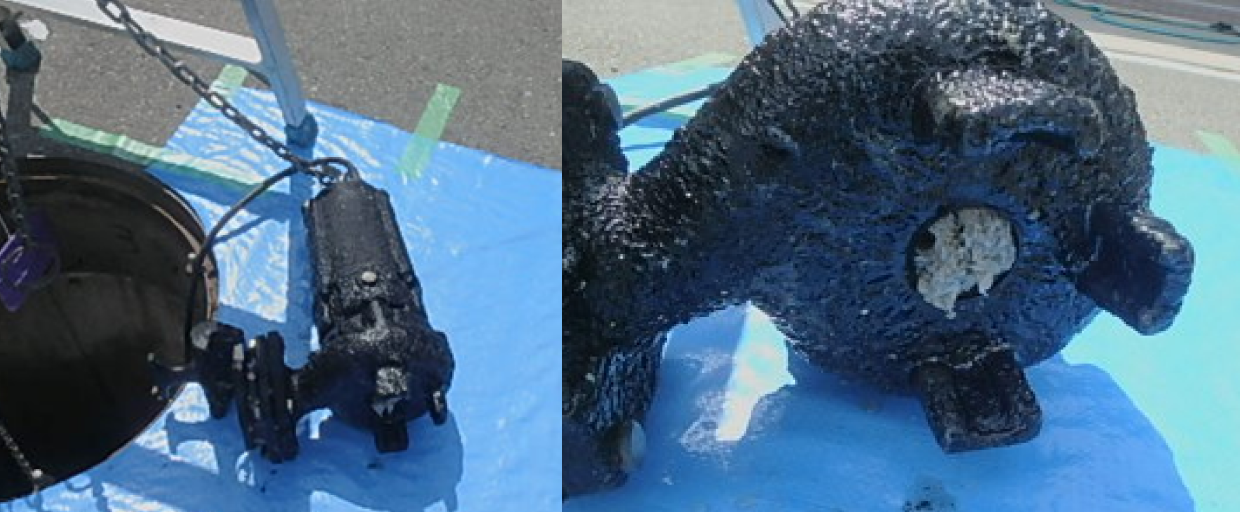 水中ポンプの異物が噛みこんでインペラが拘束されている様子