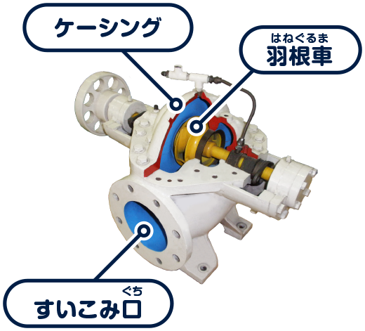 ケーシング、羽根車、すいこみ口